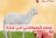 سعر السواكني في جدة بين الطازج والمجمد 2025