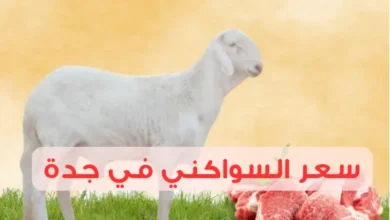 سعر السواكني في جدة بين الطازج والمجمد 2025