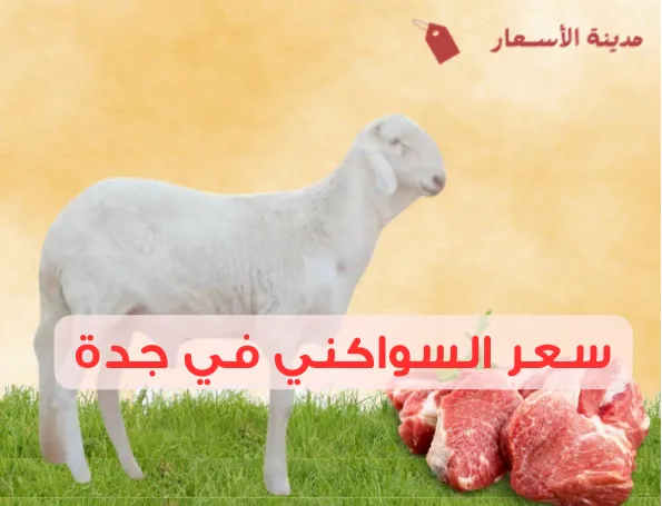 سعر السواكني في جدة بين الطازج والمجمد 2025
