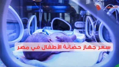 سعر جهاز حضانة الأطفال في مصر: مقارنة بين الأنواع المحلية والمستوردة