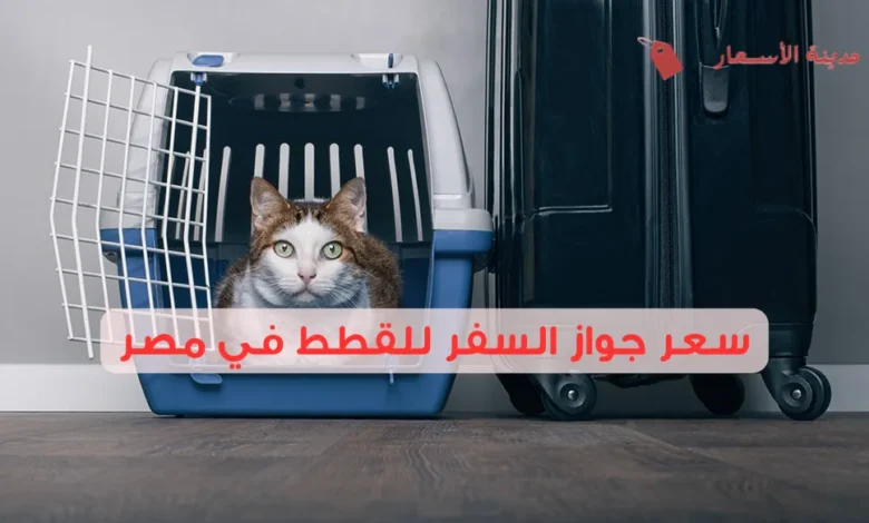 كم سعر جواز السفر للقطط في مصر وكيفية استخراجه؟