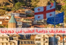 مصاريف دراسة الطب في جورجيا وأفضل الجامعات المعتمدة