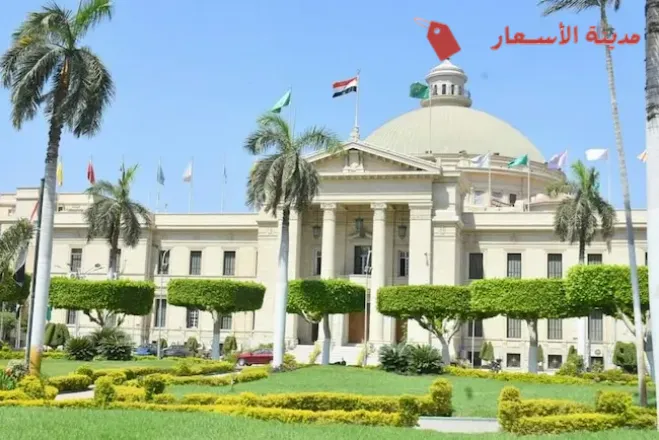 الأسئلة الأكثر شيوعًا [FAQs] حول رسوم دراسة الدكتوراه في جامعة القاهرة للمصريين