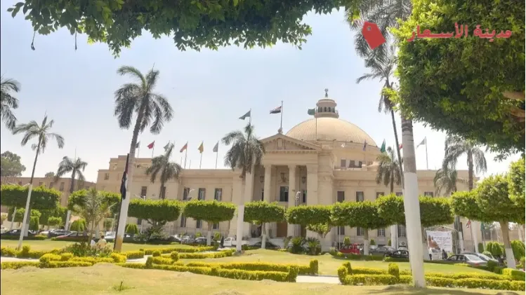 ما هي برامج الدكتوراه المتاحة في جامعة القاهرة؟