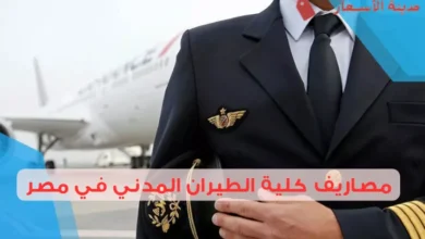 مصاريف كلية الطيران المدني في مصر: هل تستحق الاستثمار؟