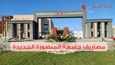 مصاريف جامعة المنصورة الجديدة وأهم رسوم التسجيل