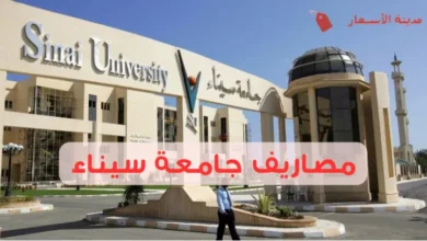 مصاريف جامعة سيناء وأفضل التخصصات بأسعار مناسبة