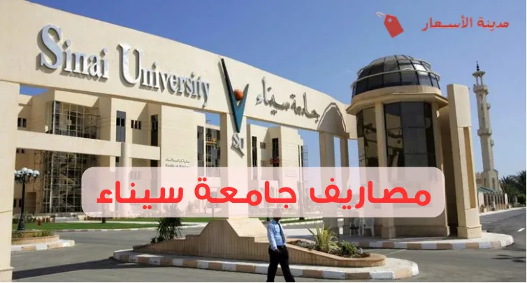 مصاريف جامعة سيناء وأفضل التخصصات بأسعار مناسبة