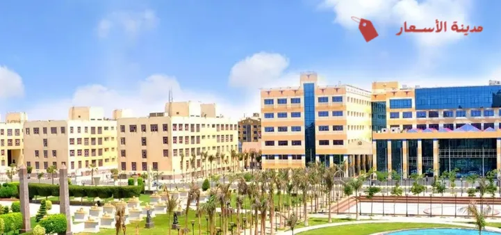 أين تقع جامعة سيناء؟ الموقع الجغرافي وأهميته