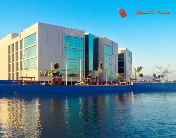 ما هي الكليات المتاحة في جامعة ميريت؟