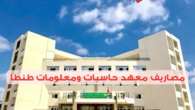 مصاريف معهد حاسبات ومعلومات طنطا ونظام الدراسة