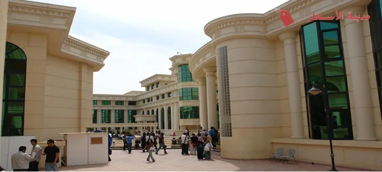 الكليات والتخصصات المتاحة في جامعة MSA