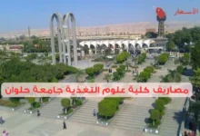مصاريف كلية علوم التغذية جامعة حلوان مقارنة بالكليات الأخرى