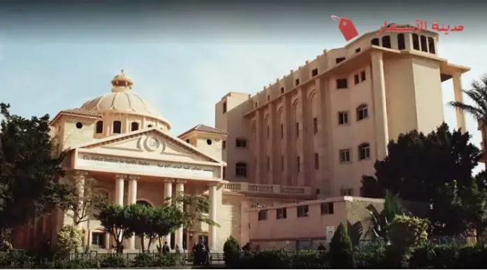 الرسوم الإضافية في المعهد العالي للدراسات النوعية بالجيزة